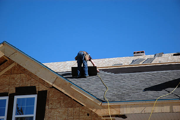 Best Roof Leak Repair  in Brooklyn Center, MN