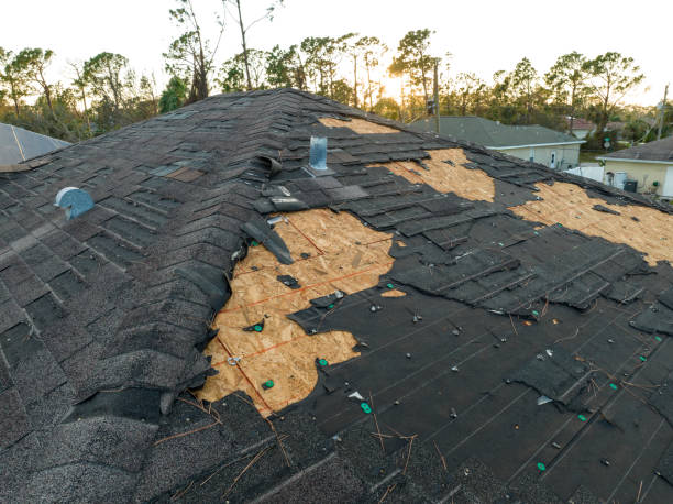 Best Storm Damage Roof Repair  in Brooklyn Center, MN